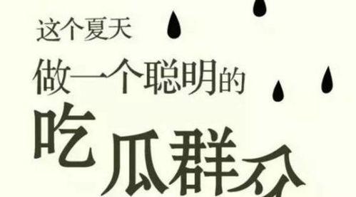 聪明吃瓜的群众,聪明吃瓜群众的智慧生活