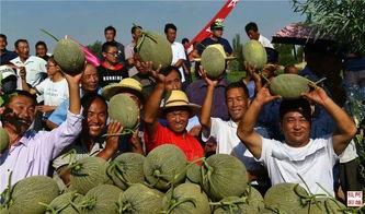 吃瓜群众组个队,揭秘娱乐圈幕后风云