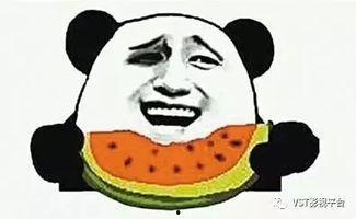 吃瓜群众门派,网络时代的“围观”文化现象解析