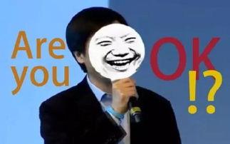 小米发布会吃瓜群众视频,吃瓜群众视角下的精彩瞬间