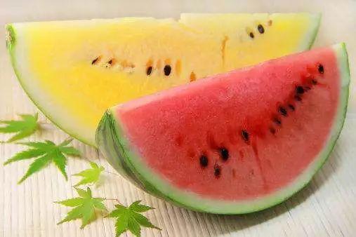 吃瓜群众小时布丁,揭秘网红美食背后的故事