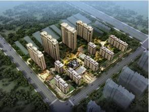 莱芜泰和嘉园吃瓜群众,吃瓜群众热议的社区生活剪影