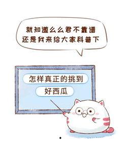 吃瓜群众做监督是真的吗,真实存在还是网络炒作?