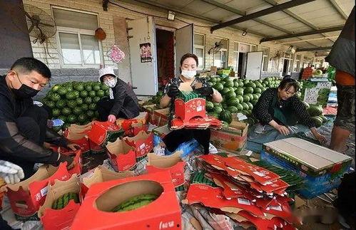 甘肃博物馆吃瓜群众,吃瓜群众眼中的历史画卷