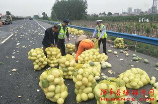 金门是泉州的吃瓜群众,吃瓜群众必看攻略