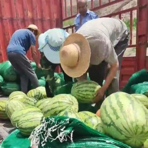 金门是泉州的吃瓜群众,吃瓜群众必看攻略