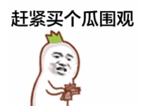 厦门当地吃瓜群众是谁呀,他们是谁？为何成为焦点？