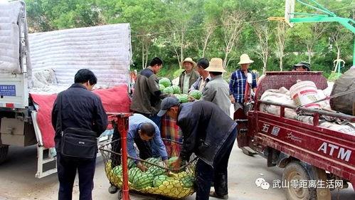 十八楼前排吃瓜群众,揭秘吃瓜群众的围观奥秘