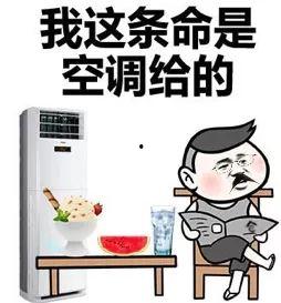 吃瓜群众想吃饭,一场味蕾的盛宴之旅