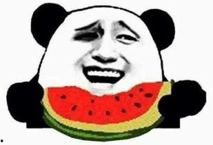 吃瓜群众的主播,揭秘网络红人的幕后生活