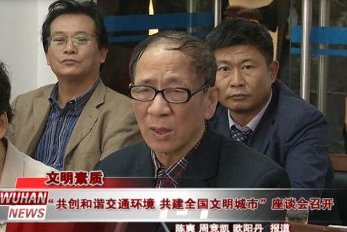 群众看吃瓜事件视频,视频记录下的社会现象解析