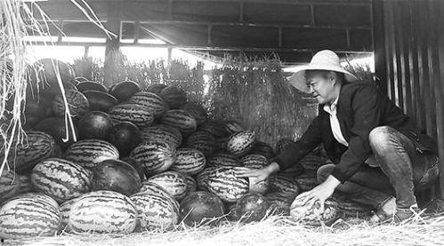 中缅边境吃瓜群众,吃瓜群众的边境生活剪影